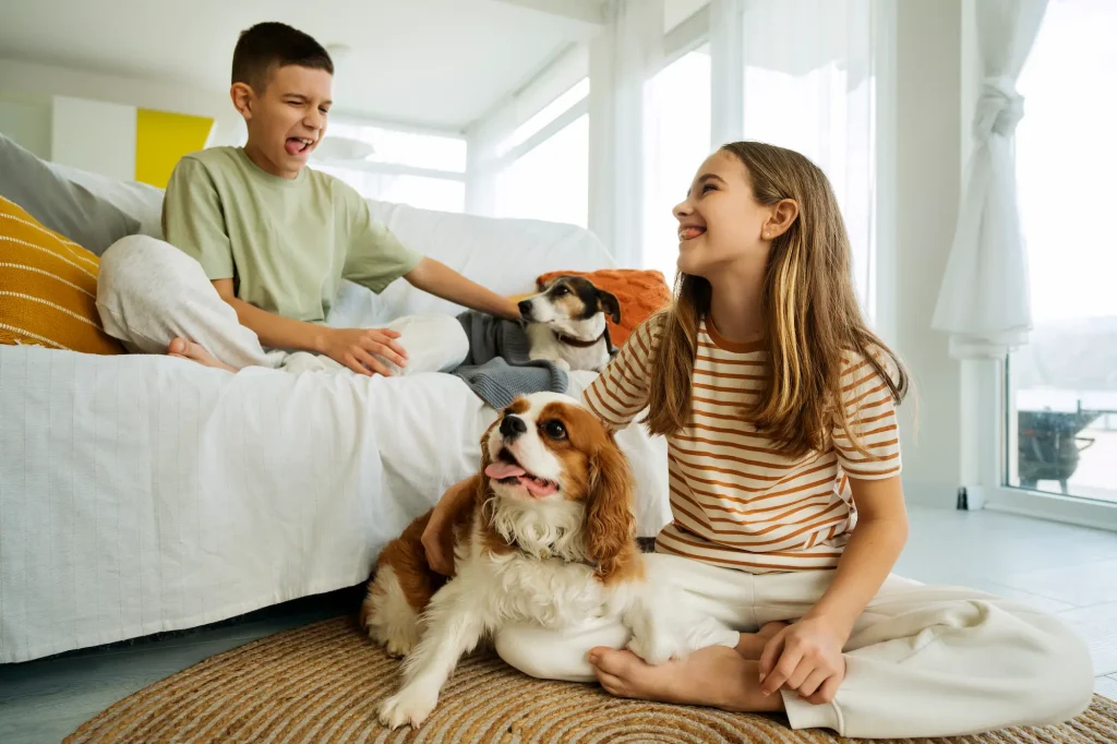 pet-friendly vacation rentals in Miami and Orlando