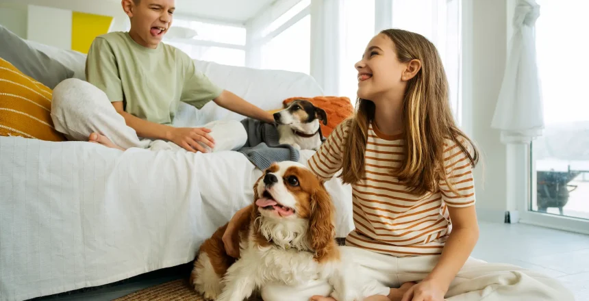 pet-friendly vacation rentals in Miami and Orlando